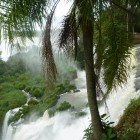 Iguazu-Falls3